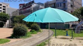 パラソル選び方ガイド